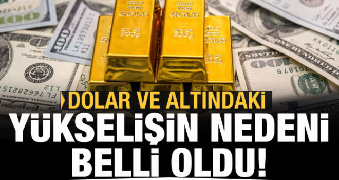 Dolar ve altındaki yükselişin nedeni belli oldu