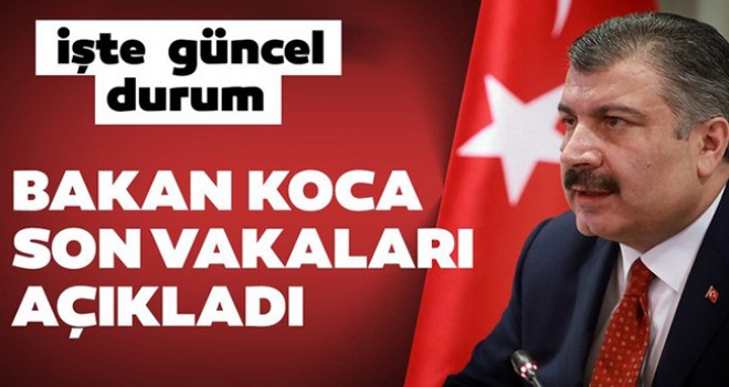 Bakan Koca Vaka Sayılarını Açıkladı