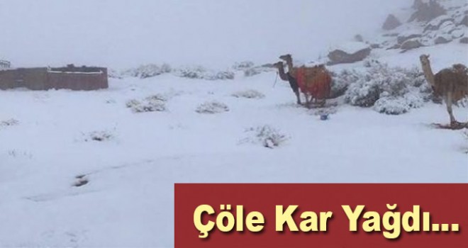 Çöle kar yağdı! Kartpostallık manzara