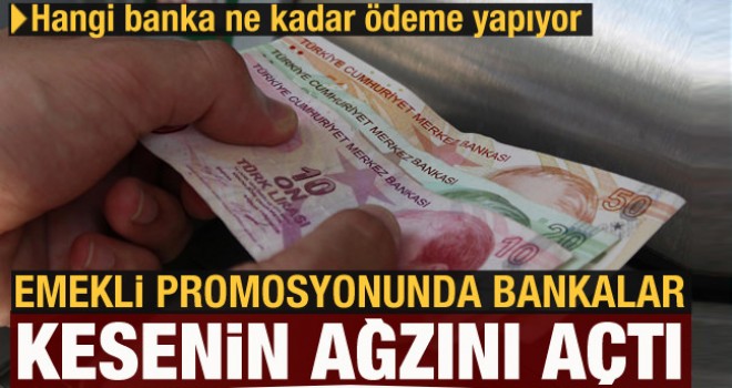 Emekli promosyonunda Hangi banka ne kadar ödeme yapıyor