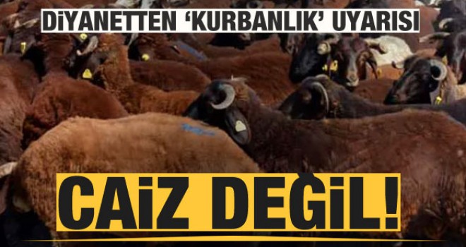 Diyanet'ten 'kurbanlık' uyarısı; Caiz değil!