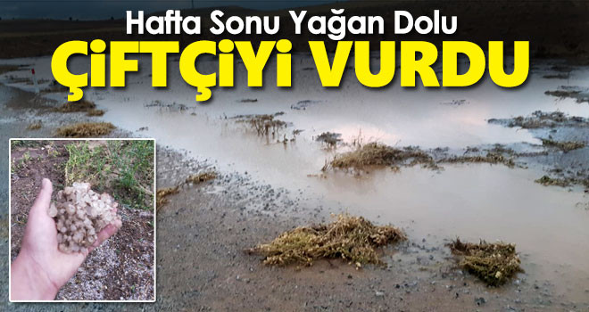 Hafta sonu yağan dolu çiftçiyi vurdu