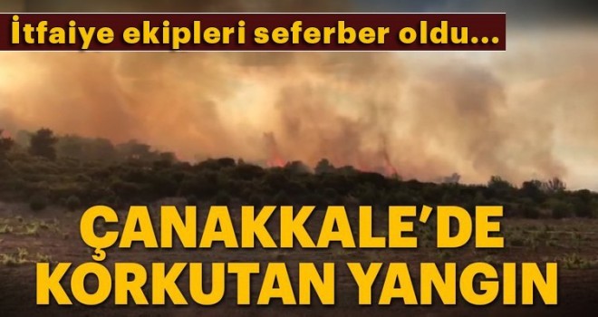 Çanakkale'de 5 ayrı noktada orman yangını çıktı