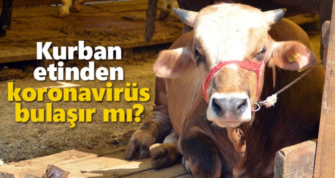 Kurban etinden koronavirüs bulaşır mı?