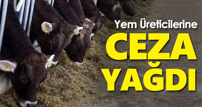 Rekabet Kurumu'ndan yem üretimi yapan 4 şirkete ceza