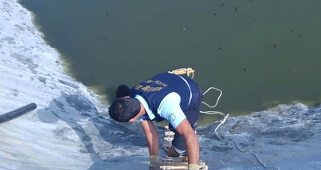 Gölette mahsur kalan köpeği itfaiye kurtardı