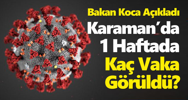 Karaman'da 1 haftada kaç vaka görüldü! Bakan Koca, son haritayı paylaştı