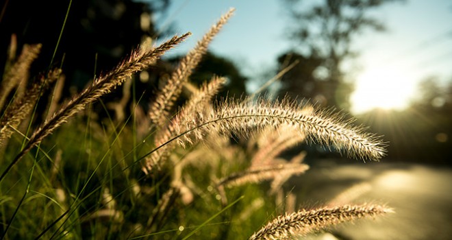 İlk Cemre Düştü! Peki, Cemre Düşmesi Ne Demek?