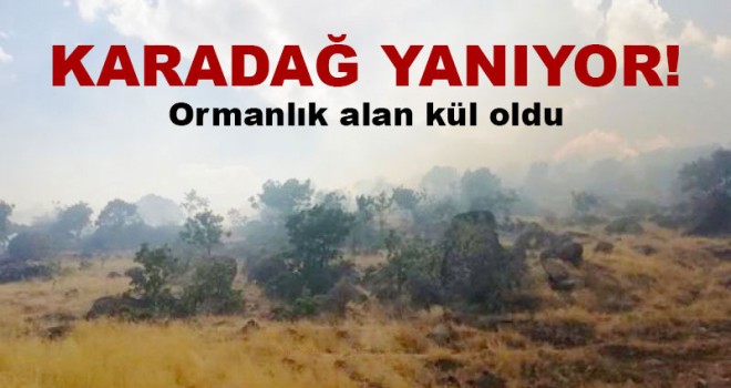 SON DAKİKA - KARADAĞ YANIYOR!