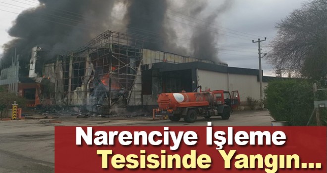 Antalya'da narenciye işleme tesisinde yangın
