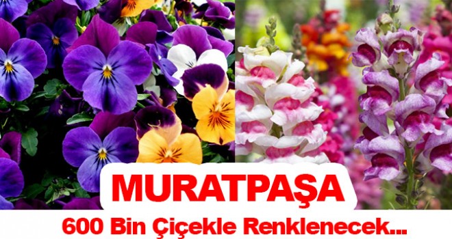 Antalya dikilen çiçeklerle renklenecek