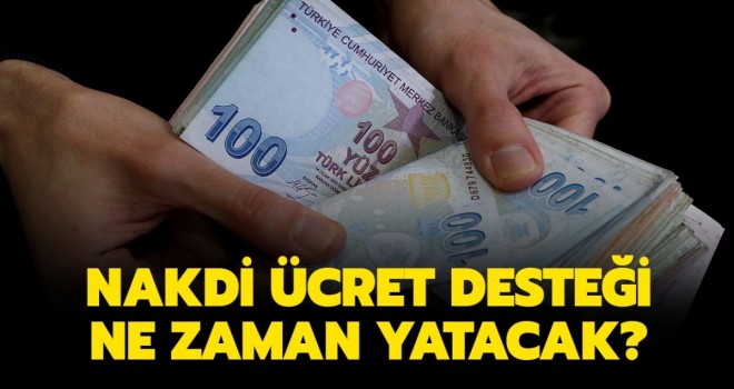 Nakdi ücret desteği ödemeleri 9-10 Kasım'da yapılacak