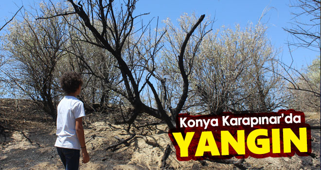 Konya Karapınar'da yangın