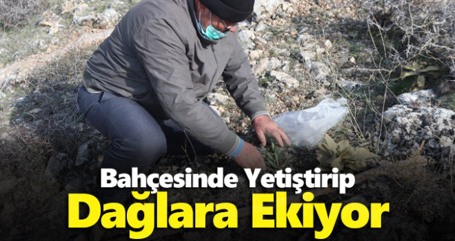 Karamanlı doğasever, bahçesinde yetiştirdiği endemik bitkileri dağlara ekiyor