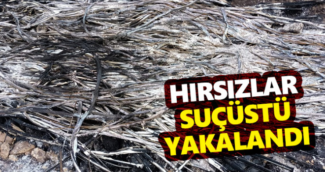 Karaman'da Kablo Çalan Hırsızlar Suçüstü Yakalandı