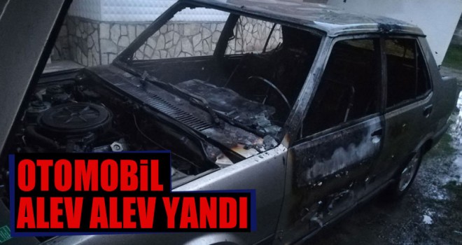 Park Halindeki Otomobil Alev Alev Yandı