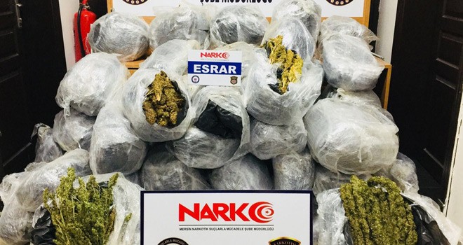 197 Kilo Esrar Ele Geçirildi