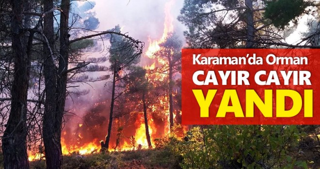 Karaman'da orman yangını çıktı
