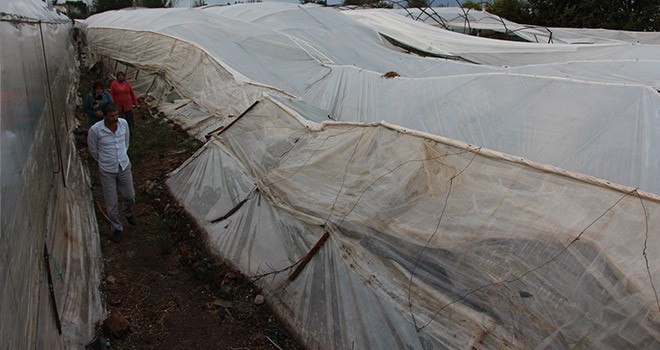 Şiddetli yağış seralara zarar verdi
