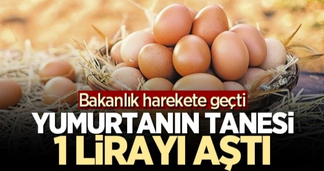 Fiyatlar tavan yaptı! Bakanlık harekete geçti