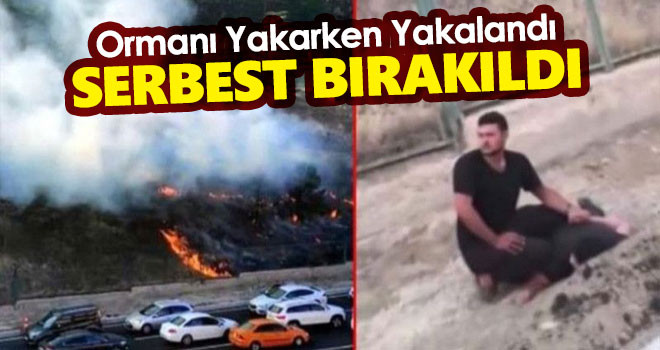 PKK sempatizanı ormanı yakarken suç üstü yakalandı; Serbest bırakıldı!