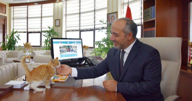 Bitkin bulunan kedi yavrusu rektörlüğün maskotu oldu