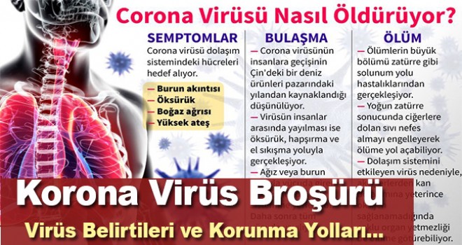Korona Virüs Farkındalık Broşürü Rehberi