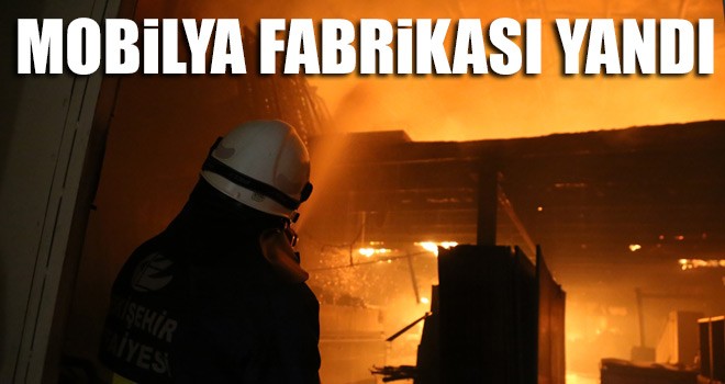 Mobilya Fabrikasında Yangın