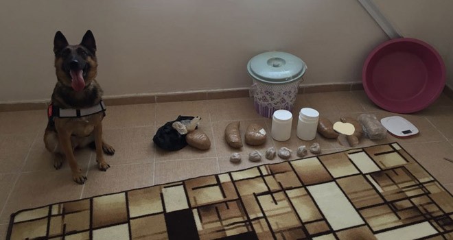 Mersin'de uyuşturucu operasyonu