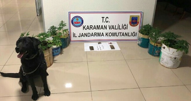 Jandarmadan Uyuşturucuya Geçit Yok