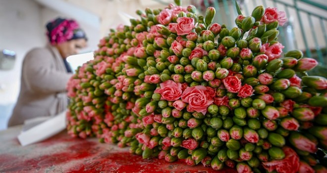 Çiçek sektörü ihracatta rekor kırdı