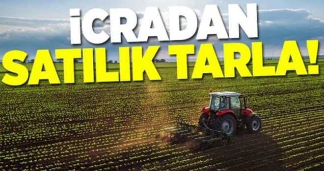 Karaman icradan satılık tarla