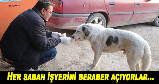 Elektrik ustası her sabah dükkanını