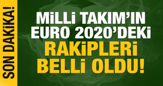A Milli Takım'ın EURO 2020'deki rakipleri belli oldu
