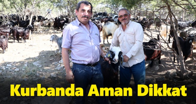 Kurban Bayramı öncesi 'dolandırıcı ve sahte para' uyarısı